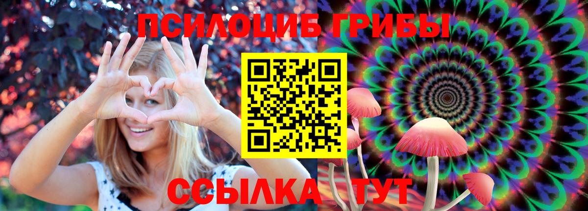 цена   Галлюциногенные грибы MAGIC MUSHROOMS  Вход с VPN  Новоалександровск  Галлюциногенные грибы мухоморы 